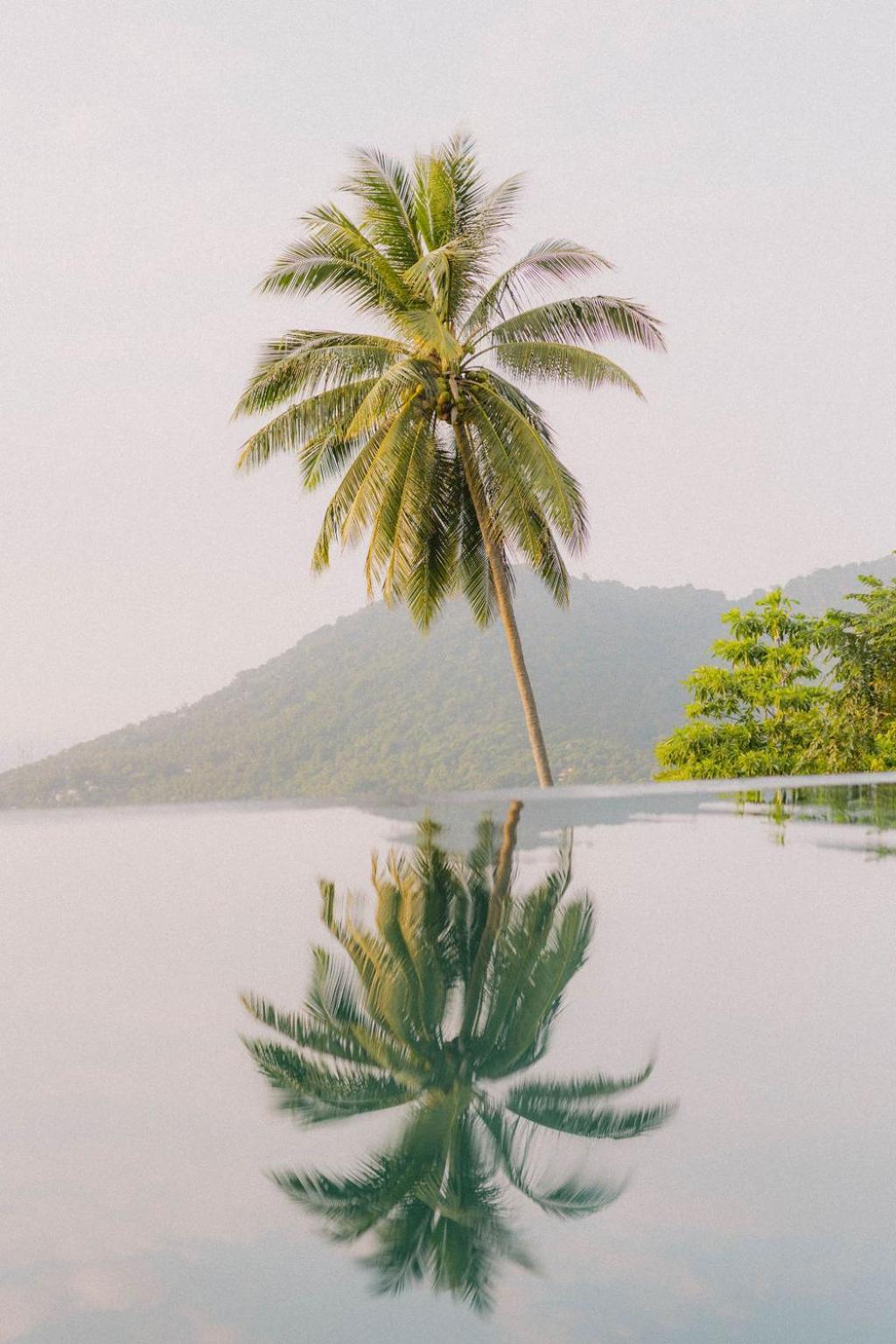 Perfect View Pool Villa Тао Екстер'єр фото